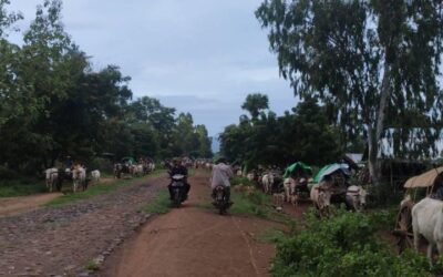 Number of internally displaced people in KNU territories surpasses 1.1 million due to escalating conflict